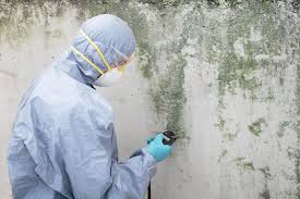 Best HVAC Mold Inspection and Cleaning  in Dublin, OH